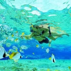 Wall-Point-snorkeling-nusa-penida