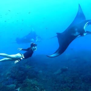 snorkeling-manta-bay